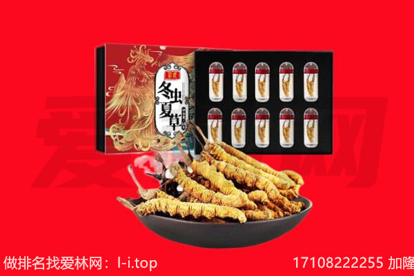 宁波镇海区回收虫草.jpg